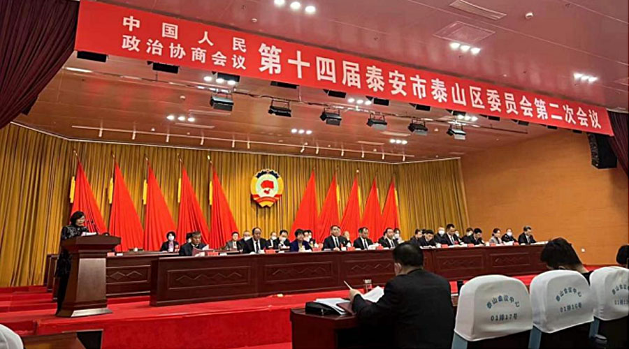 政協(xié)發(fā)言2